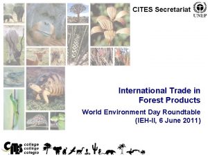 CITES Secretariat International Trade in Forest Products World