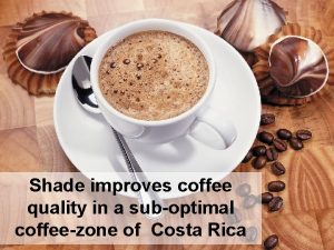 Shade improves coffee quality in a suboptimal coffeezone