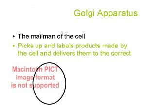 Golgi Apparatus The mailman of the cell Picks