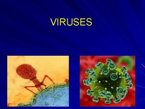 VIRUSES VIRUS A nonliving particle Are not cells