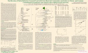 The Diversity of Nitrite Reductase Genesnir S and