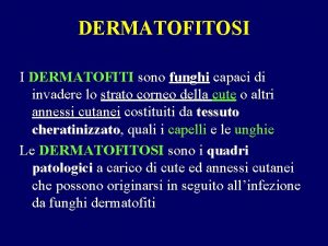 DERMATOFITOSI I DERMATOFITI sono funghi capaci di invadere