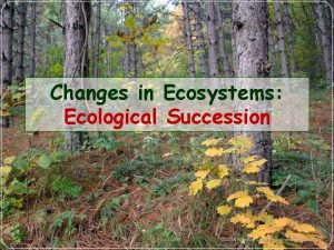 Changes in Ecosystems Ecological Succession What is Ecological