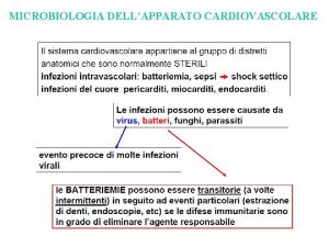 MICROBIOLOGIA DELLAPPARATO CARDIOVASCOLARE Sangue Il sangue normalmente sterile