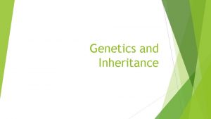 Genetics and Inheritance Father of Genetics is the