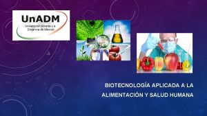 BIOTECNOLOGA APLICADA A LA ALIMENTACIN Y SALUD HUMANA