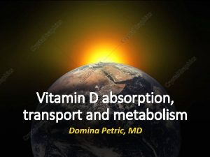 Vitamin D absorption transport and metabolism Domina Petric