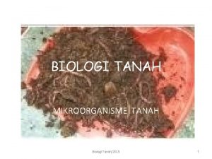 BIOLOGI TANAH MIKROORGANISME TANAH Biologi Tanah2015 1 PENGGOLONGAN