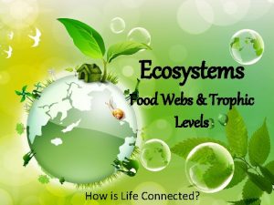 Ecosystems Food Webs Trophic Levels How is Life