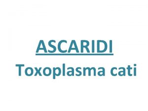 ASCARIDI Toxoplasma cati Toxoplasma cati sono vermi lunghi