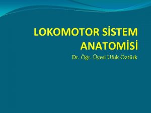 LOKOMOTOR SSTEM ANATOMS Dr r yesi Ufuk ztrk