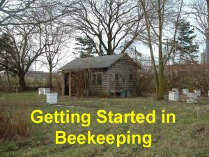 Getting Started in Beekeeping Course Outline Honey Bee