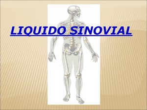 LIQUIDO SINOVIAL LIQUIDO SINOVIAL CARTILAGO HUESO MEMBRANA SINOVIAL