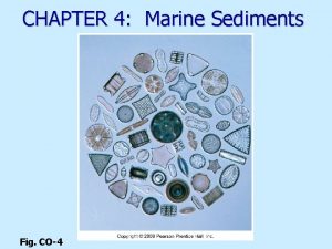 CHAPTER 4 Marine Sediments Fig CO4 Marine sediments