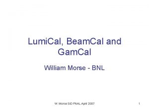 Lumi Cal Beam Cal and Gam Cal William