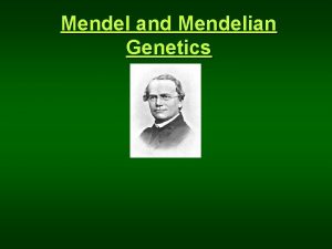 Mendel and Mendelian Genetics I Gregor Mendel Heredity