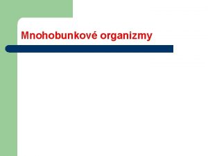 Mnohobunkov organizmy o sa dnes naume l l