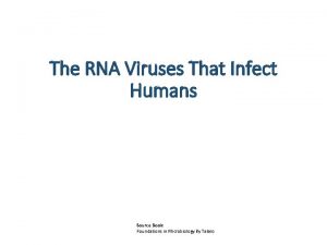 The RNA Viruses That Infect Humans Source Book