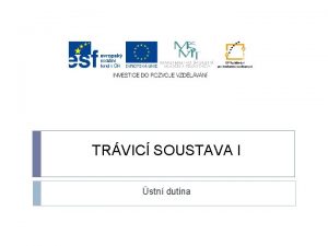 TRVIC SOUSTAVA I stn dutina TRVIC SOUSTAVA funkce