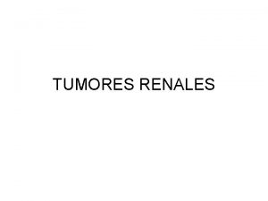 TUMORES RENALES ADENOCARCINOMA RENAL ONCOCITOMA RENAL ANGIOMIOLIPOMA ADENOMA