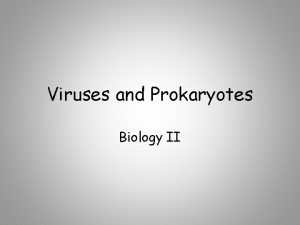 Viruses and Prokaryotes Biology II Viruses Replicate only