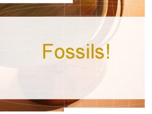 Fossils Question How do you think fossils form