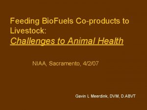 Feeding Bio Fuels Coproducts to Livestock Challenges to