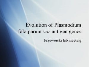 Evolution of Plasmodium falciparum var antigen genes Przeworski