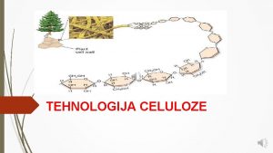 TEHNOLOGIJA CELULOZE Celuloza je najrasprostranjenije jedinjenje u prirodi