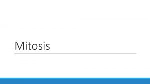 Mitosis Phases of the Cell Cycle Mitosis PMAT