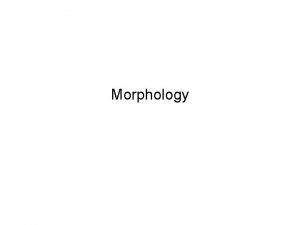 Morphology Morphology Definition The study of wordformation processes