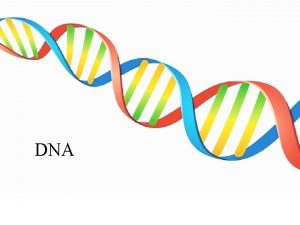 DNA What is DNA Contains all genetic information