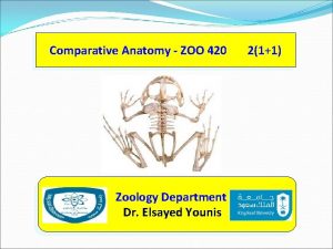 Comparative Anatomy ZOO 420 Zoology Department Dr Elsayed