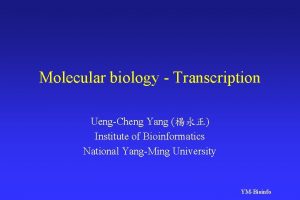 Molecular biology Transcription UengCheng Yang Institute of Bioinformatics