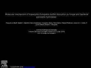 Molecular mechanism of Aspergillus fumigatus biofilm disruption by