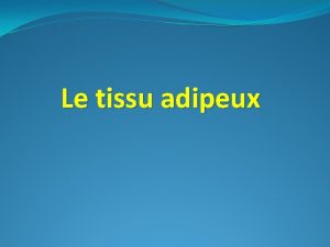 Le tissu adipeux Les diffrentes tapes du dveloppement