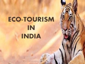 ECOTOURISM IN INDIA WHAT IS ECOTOURISM Ecotourism is