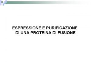 ESPRESSIONE E PURIFICAZIONE DI UNA PROTEINA DI FUSIONE