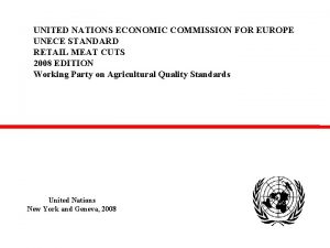 UNITED NATIONS ECONOMIC COMMISSION FOR EUROPE UNECE STANDARD