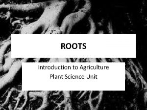 ROOTS Introduction to Agriculture Plant Science Unit Roots