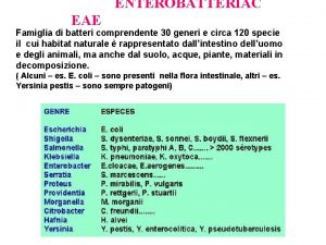 ENTEROBATTERIAC EAE Famiglia di batteri comprendente 30 generi