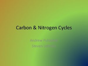 Carbon Nitrogen Cycles Andrew Pulsipher Steven Lehmitz Carbon