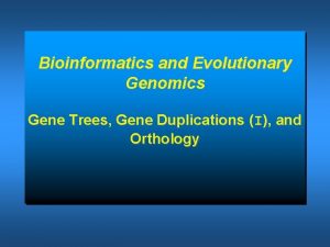 Bioinformatics and Evolutionary Genomics Gene Trees Gene Duplications