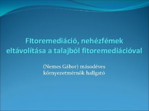 FItoremedici nehzfmek eltvoltsa a talajbl fitoremedicival Nemes Gbor