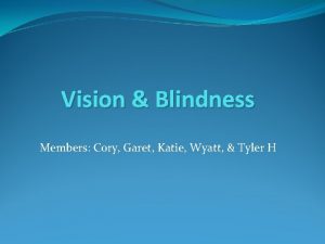 Vision Blindness Members Cory Garet Katie Wyatt Tyler