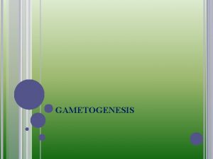 GAMETOGENESIS MEIOSIS GENERAL GAMETOGENESIS making of gametes Two