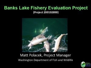 Banks Lake Fishery Evaluation Project Project 200102800 Matt