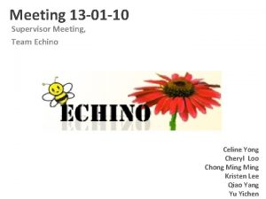 Meeting 13 01 10 Supervisor Meeting Team Echino