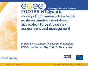 Enabling Grids for Escienc E FOOTPRINTwork a computing