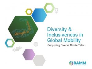 Diversity Inclusiveness in Global Mobility Supporting Diverse Mobile